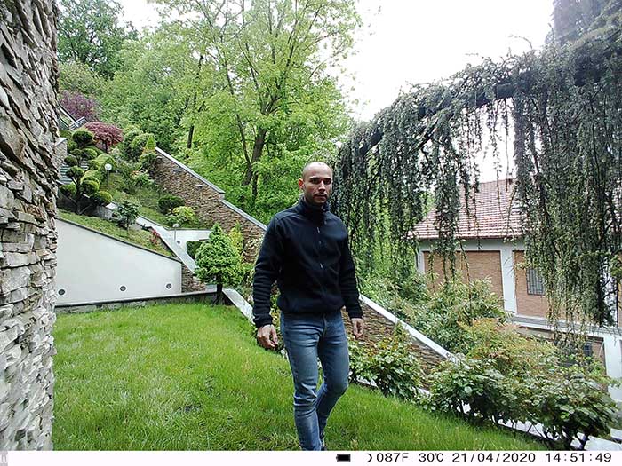 Immagine fototrappola